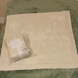 Crate&Barrel Organic Cotton Ivory Euro Sham